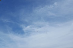 20190623_115410
