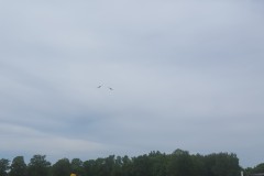 20190623_150534