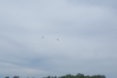 20190623_150535 20190623_150535